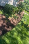 horticultural
