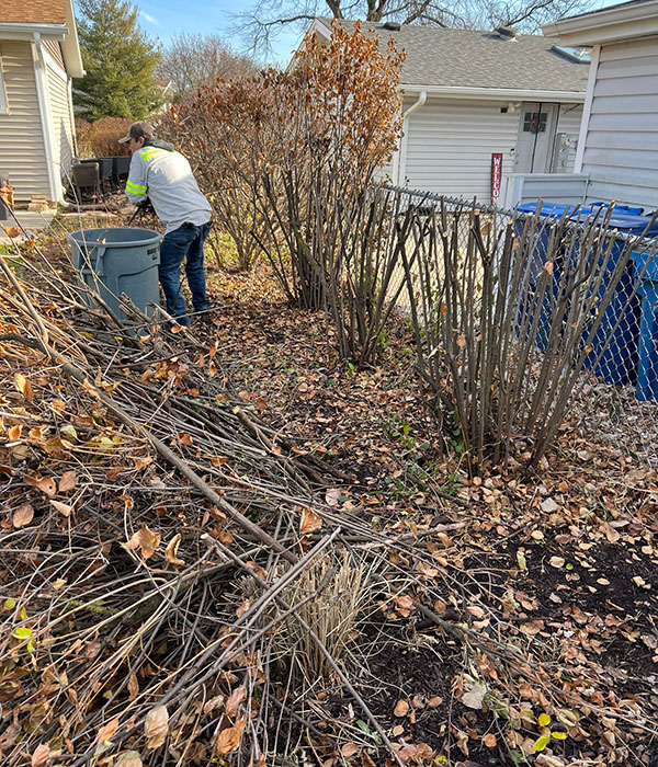 Fall Cleanup