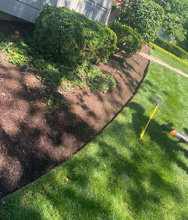 Mulch