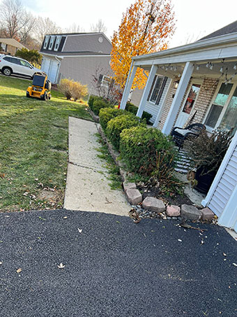 Pruning - trimming bushes