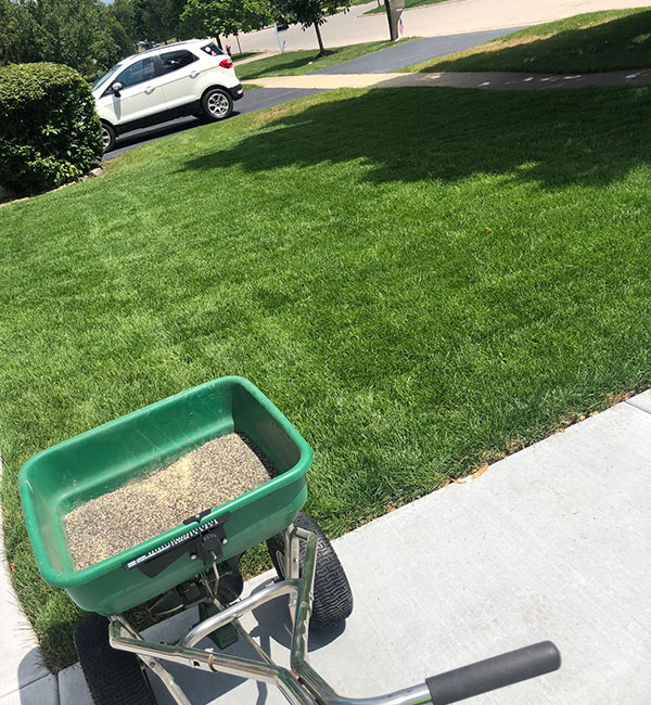 Overseeding