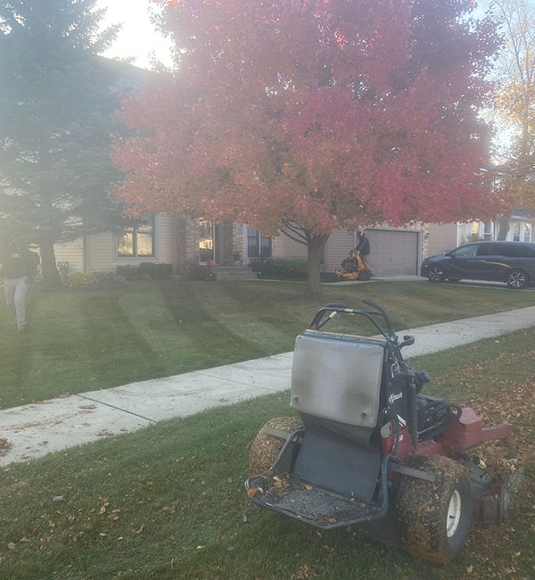 Spring Cleanup
