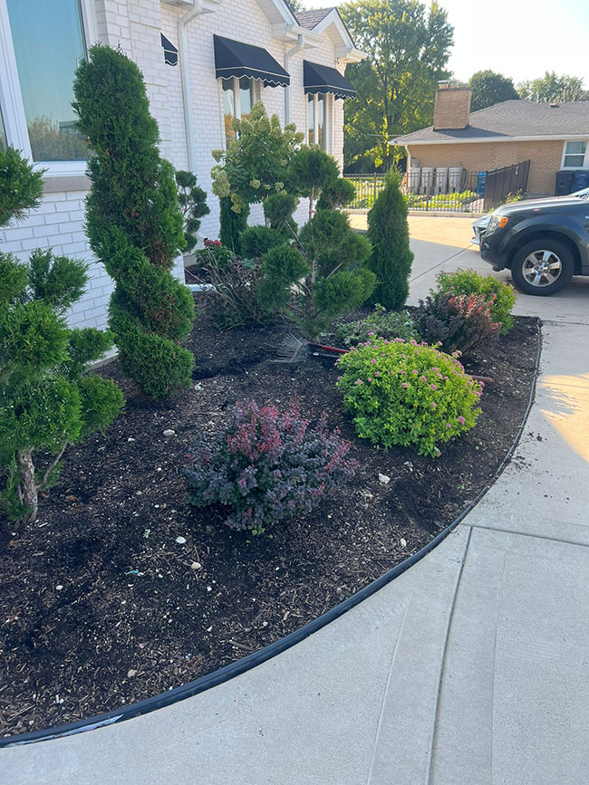 Weed Control